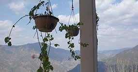 The Ramgarh Retreat-image-7